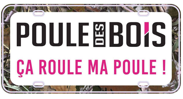 Plaque de voiture AVANT CASEPACK (6)